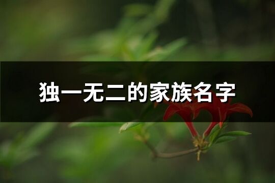 獨(dú)一無二的家族名字(優(yōu)選495個)