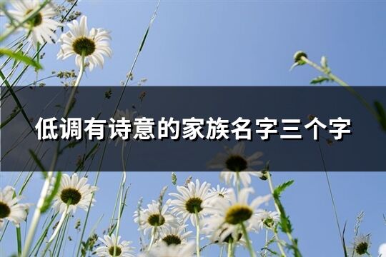 低調有詩意的家族名字三個字(共251個)