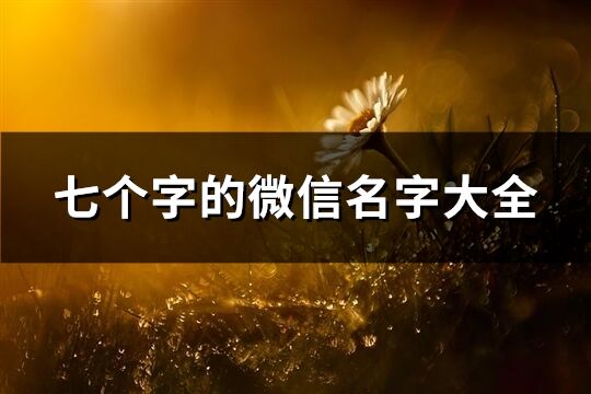 七個字的微信名字大全(共174個)