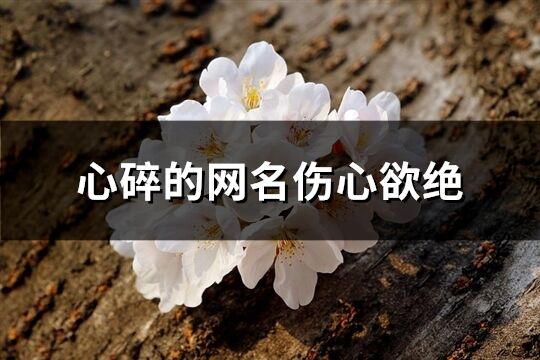 心碎的網名傷心欲絕(828個)