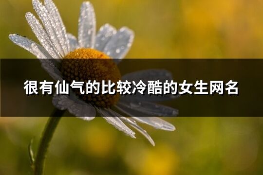 很有仙氣的比較冷酷的女生網名(優選570個)