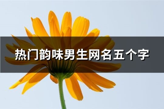 熱門韻味男生網名五個字(精選427個)