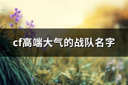 cf高端大氣的戰隊名字(177個)