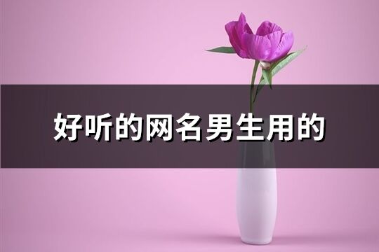 好聽的網名男生用的(共352個)