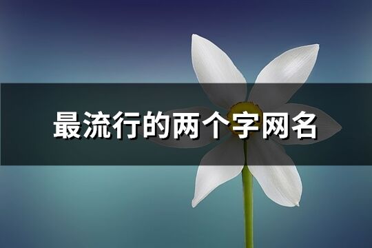 最流行的兩個字網名(共2540個)