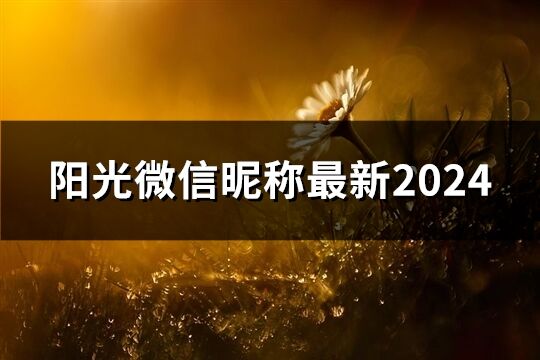 陽光微信昵稱最新2024(共89個)