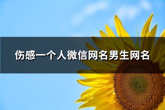 傷感一個人微信網名男生網名(135個)