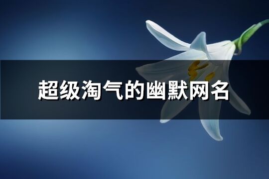 超級淘氣的幽默網(wǎng)名(共242個)