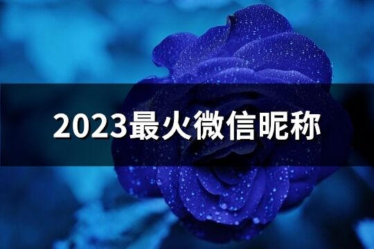 2023最火微信昵稱(共206個)