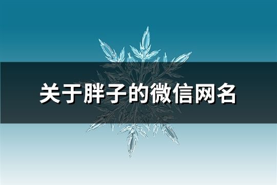 關于胖子的微信網名(124個)