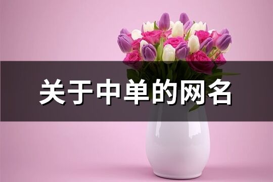 關(guān)于中單的網(wǎng)名(精選129個(gè))