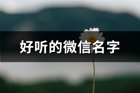 好聽的微信名字(1208個)