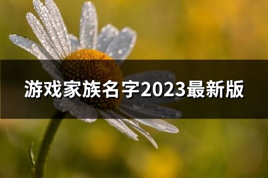 游戲家族名字2023最新版(精選731個)