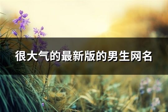 很大氣的最新版的男生網(wǎng)名(精選380個(gè))