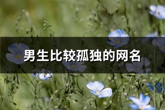 男生比較孤獨(dú)的網(wǎng)名(優(yōu)選128個(gè))