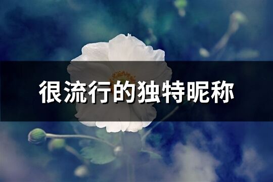 很流行的獨(dú)特昵稱(706個(gè))
