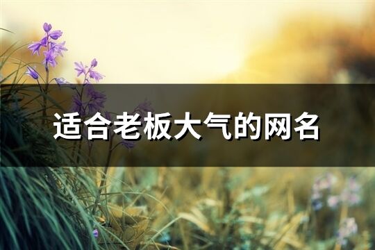 適合老板大氣的網名(208個)