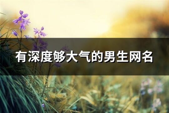 有深度夠大氣的男生網(wǎng)名(共1450個(gè))