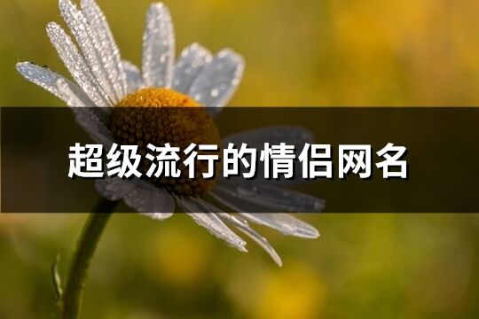 超級流行的情侶網名(精選549個)