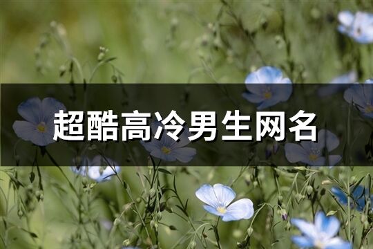 超酷高冷男生網(wǎng)名(130個(gè))