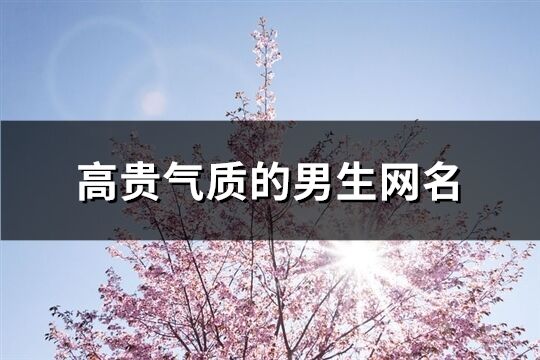 高貴氣質的男生網名(共107個)