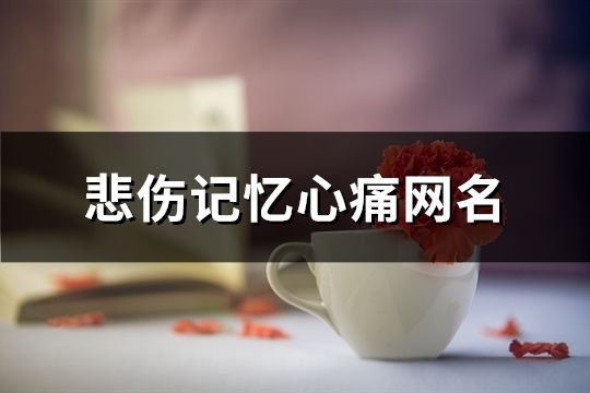 悲傷記憶心痛網(wǎng)名(140個)