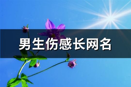 男生傷感長網(wǎng)名(105個(gè))