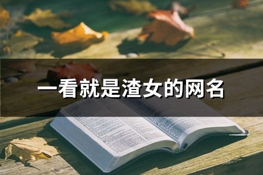 一看就是渣女的網名(116個)