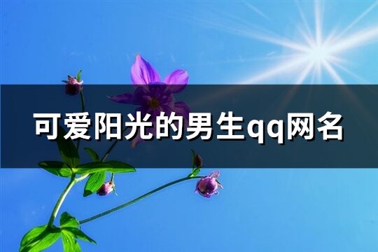 可愛陽光的男生qq網名(共117個)