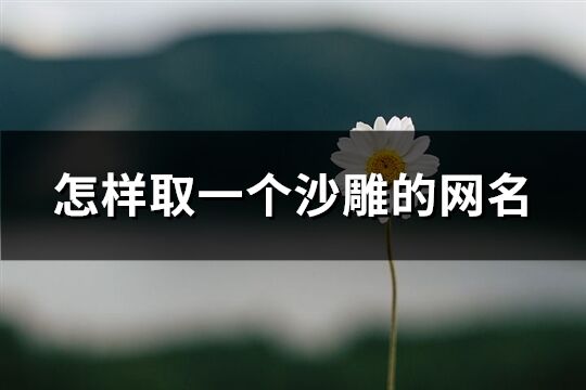 怎樣取一個沙雕的網名(共247個)