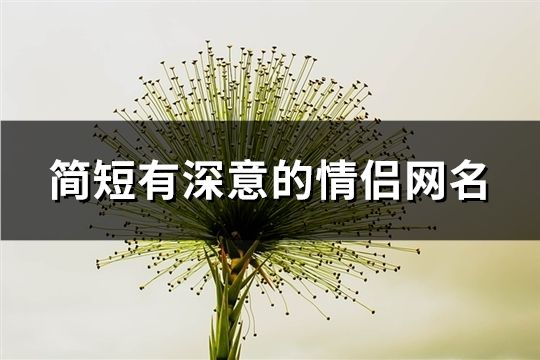 簡短有深意的情侶網名(162個)