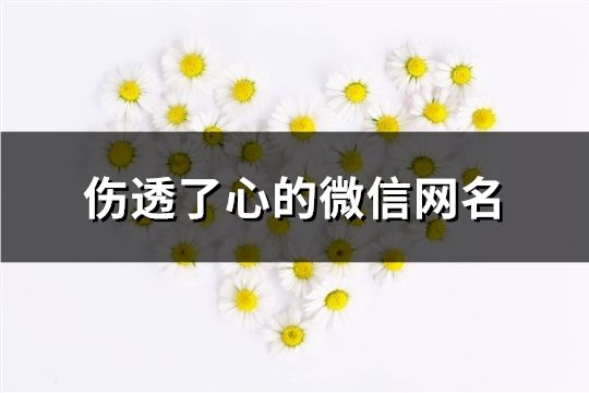 傷透了心的微信網名(共83個)