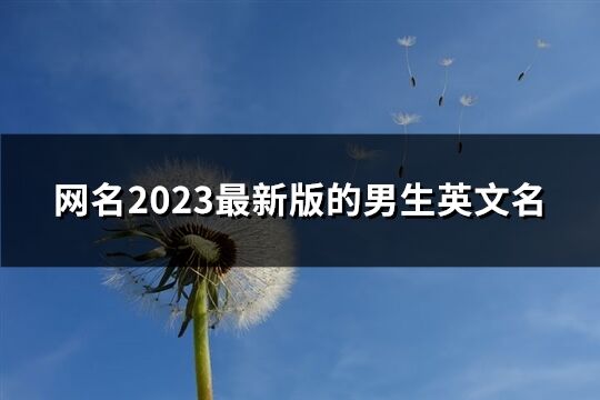 網(wǎng)名2023最新版的男生英文名(精選63個)