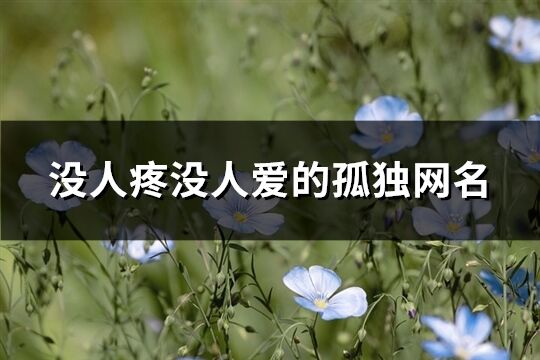 沒人疼沒人愛的孤獨網名(精選128個)