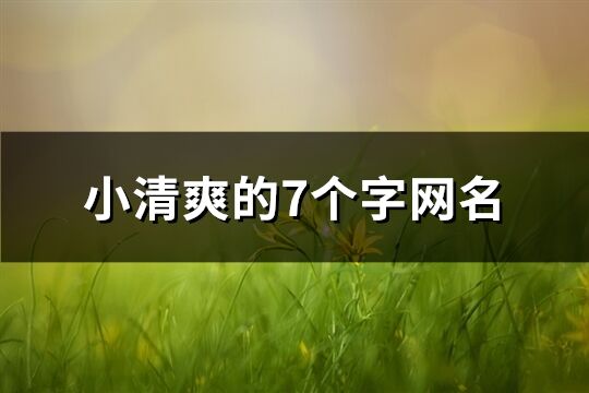 小清爽的7個字網名(200個)