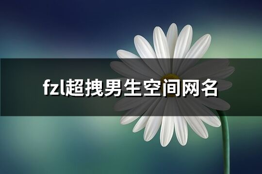 fzl超拽男生空間網(wǎng)名(178個)