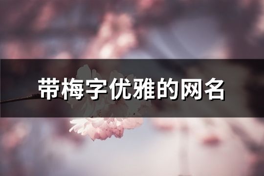 帶梅字優雅的網名(146個)