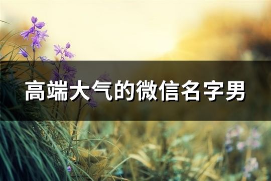 高端大氣的微信名字男(共170個)