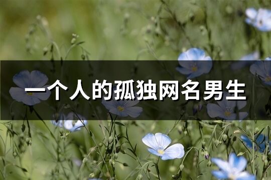 一個人的孤獨網名男生(共199個)