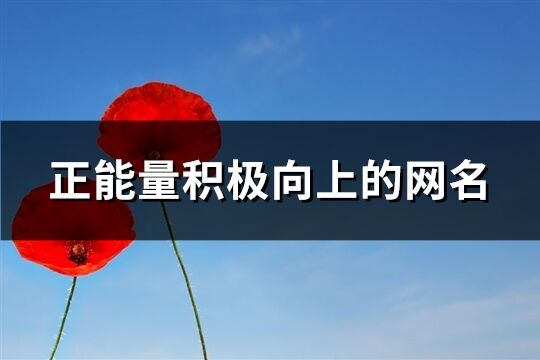正能量積極向上的網名(共92個)