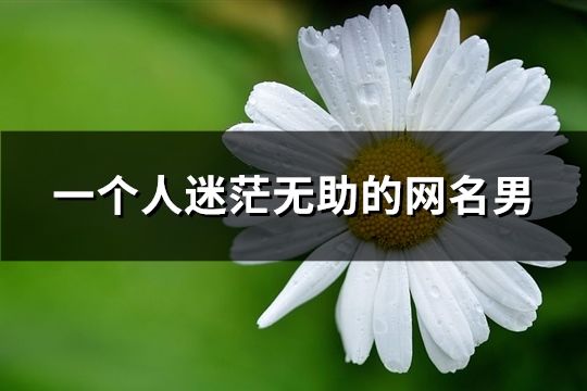 一個人迷茫無助的網名男(精選111個)
