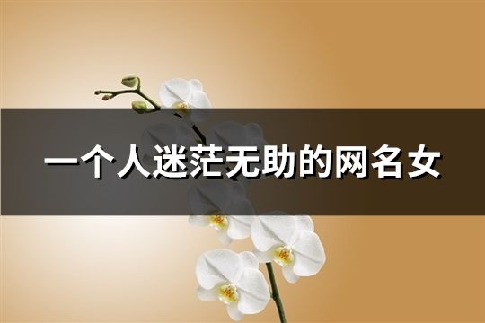 一個人迷茫無助的網名女(共93個)