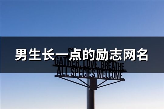 男生長一點的勵志網名(53個)