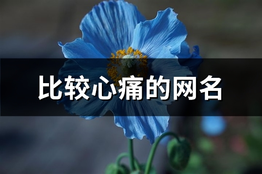比較心痛的網名(共111個)