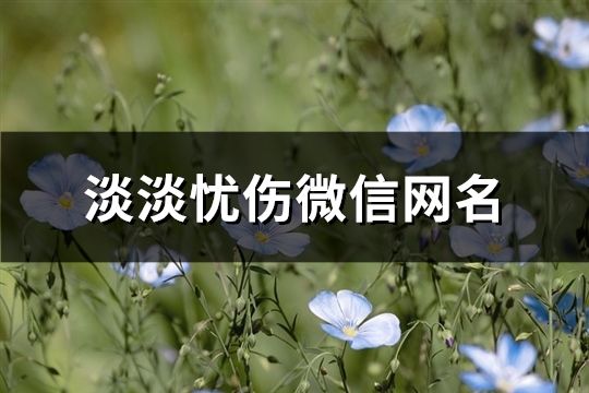 淡淡憂傷微信網名(精選123個)