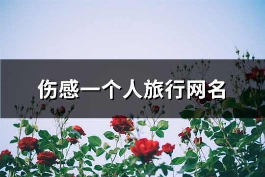 傷感一個人旅行網名(112個)