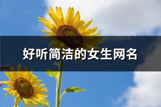 好聽簡(jiǎn)潔的女生網(wǎng)名(精選175個(gè))