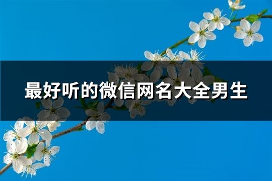 最好聽的微信網名大全男生(精選242個)
