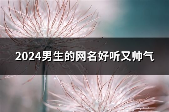 2024男生的網名好聽又帥氣(163個)