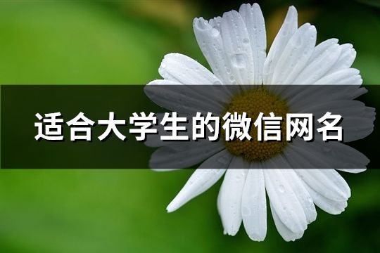 適合大學生的微信網名(共103個)